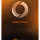 Emotion