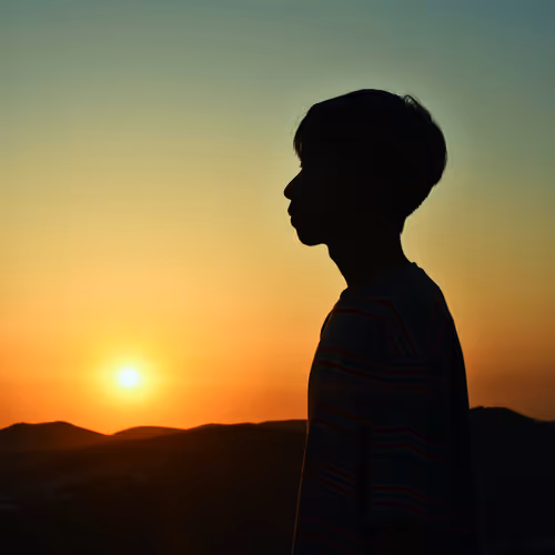 Sun Collection