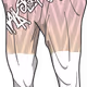 26697