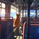 Cat Bus