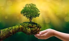 The Nature