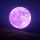 sonmoon