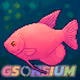 gourami