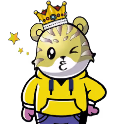 Rooky