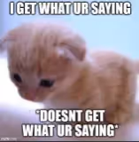 CatPunch