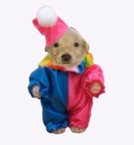 Item #2 Media