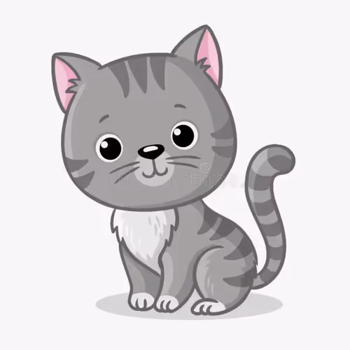 kitten