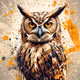 the owl
