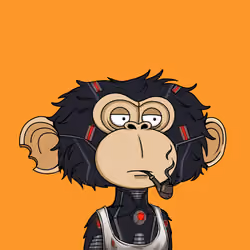 jimmy #2854