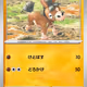 [C] Mudbray #37 Pokemon Japanese Wild Force