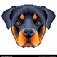 Dog Pixel