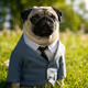 SonyPug