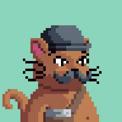CATS #2660