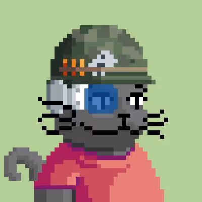 CATS #1000