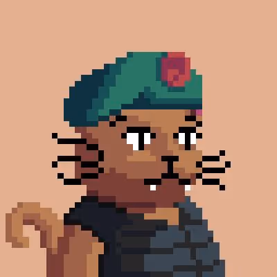 CATS #528
