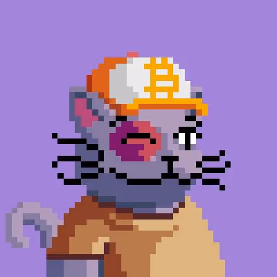CATS #4041