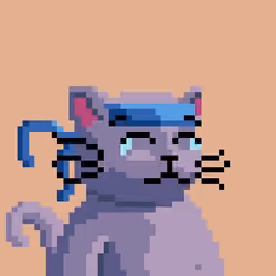 CATS #1674