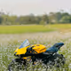 Gsxr
