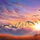 Wings of the Unbound