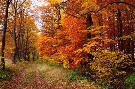 natur