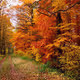 natur