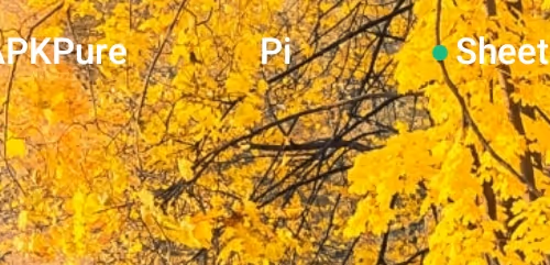 Yellow army