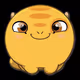 [TEST] CH