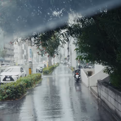 RAINY DAY