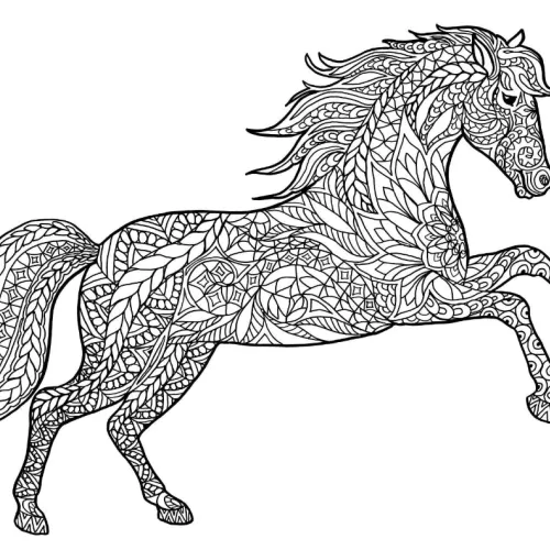 Horse project