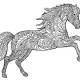 Horse project