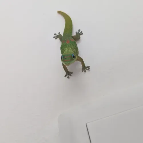 YOSH