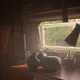 uih
