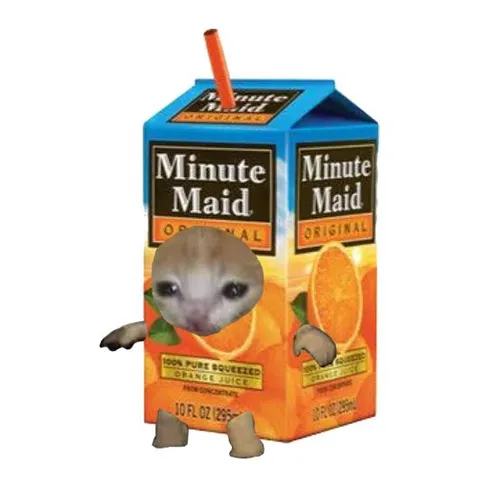 Minute Cat