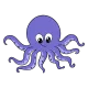 octopus