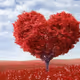 LOV