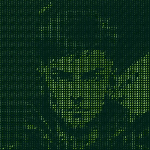 Xdrop x Soneium