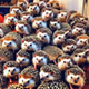 hedgehogs