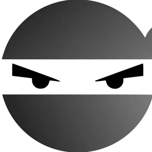 black ninja
