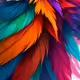 SoftColors