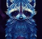 raccoon art