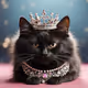 theQueen's Cat Soneium