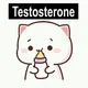 Soneium Testooor