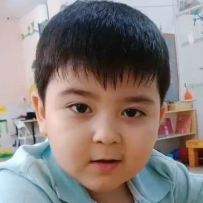 Bibo