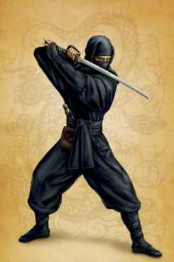Ninja
