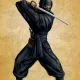 Ninja