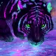 Neon Tiger