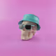 Skull Vibes