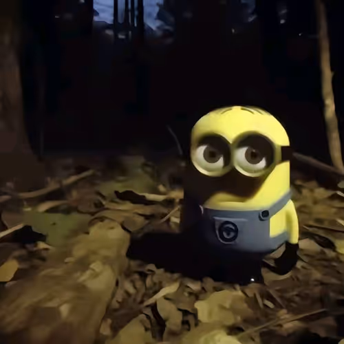 minion on soneium