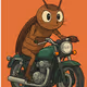 moto cockroach
