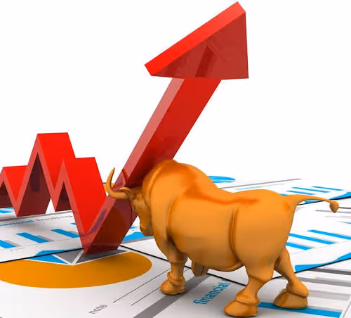 BULL MARKET